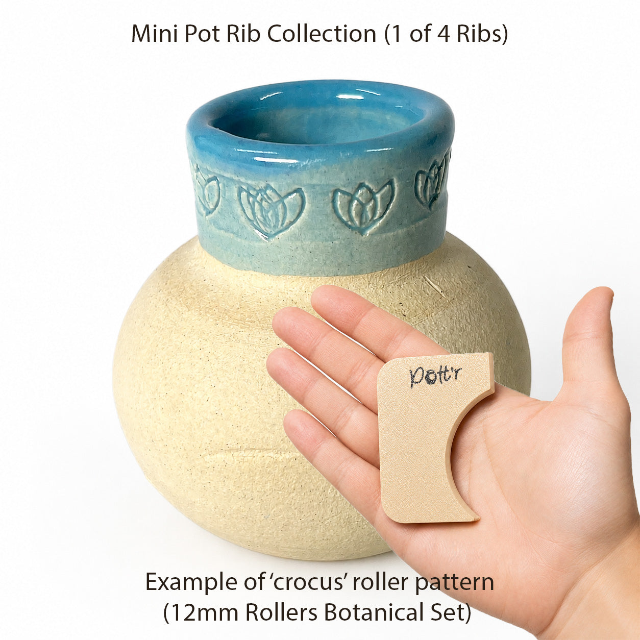 Mini Pot Rib Collection